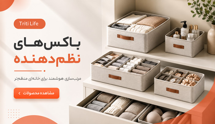 نظم‌دهنده